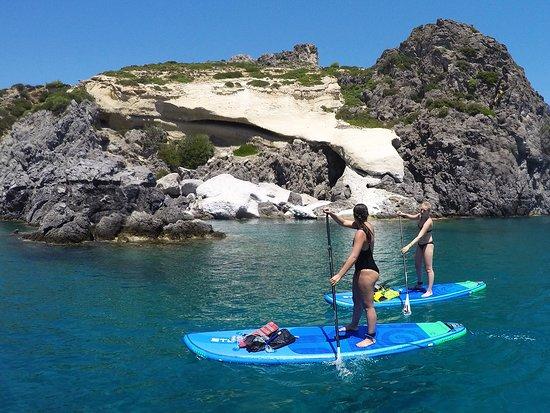 Paddle Paradise