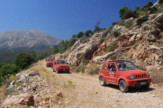 Bumpy Rhodes Safaris