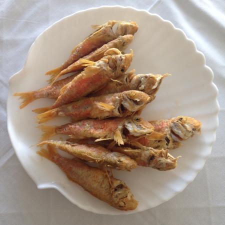 Paragadi